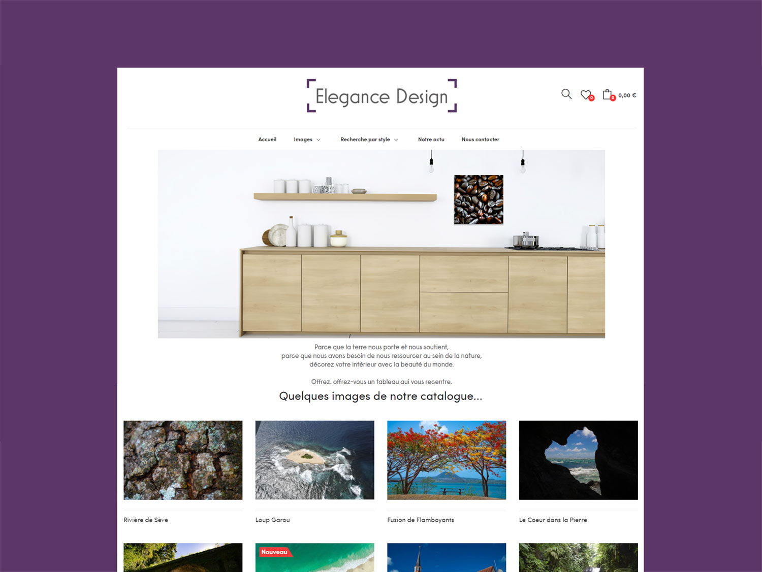 Elegancedesign.art SUNSEEWEBAGENCY CREATION SITE MARTINIQUE